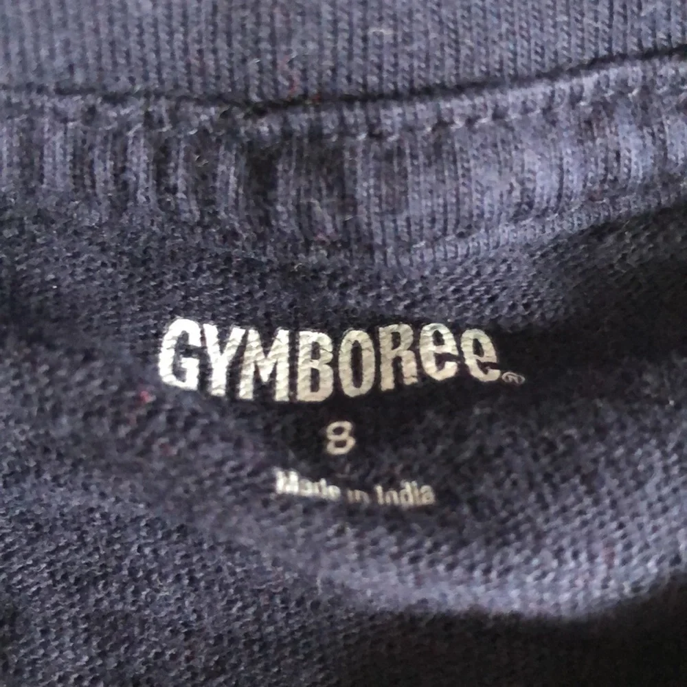Gymboree Boys Legend T Shirt White and Blue 06 Legend Shirt Boys 8